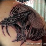 Фото рисунка тату змея 23.11.2018 №235 - snake tattoo photo - tattoo-photo.ru