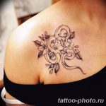 Фото рисунка тату змея 23.11.2018 №236 - snake tattoo photo - tattoo-photo.ru