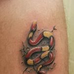 Фото рисунка тату змея 23.11.2018 №238 - snake tattoo photo - tattoo-photo.ru