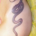 Фото рисунка тату змея 23.11.2018 №239 - snake tattoo photo - tattoo-photo.ru