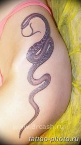 Фото рисунка тату змея 23.11.2018 №239 - snake tattoo photo - tattoo-photo.ru