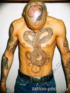 Фото рисунка тату змея 23.11.2018 №240 - snake tattoo photo - tattoo-photo.ru