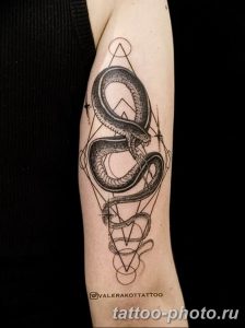 Фото рисунка тату змея 23.11.2018 №244 - snake tattoo photo - tattoo-photo.ru