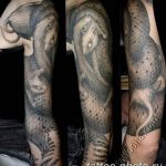 Фото рисунка тату змея 23.11.2018 №245 - snake tattoo photo - tattoo-photo.ru