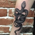 Фото рисунка тату змея 23.11.2018 №247 - snake tattoo photo - tattoo-photo.ru