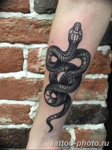 Фото рисунка тату змея 23.11.2018 №247 - snake tattoo photo - tattoo-photo.ru