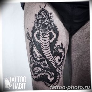 Фото рисунка тату змея 23.11.2018 №248 - snake tattoo photo - tattoo-photo.ru