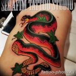 Фото рисунка тату змея 23.11.2018 №249 - snake tattoo photo - tattoo-photo.ru