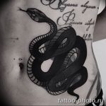Фото рисунка тату змея 23.11.2018 №250 - snake tattoo photo - tattoo-photo.ru