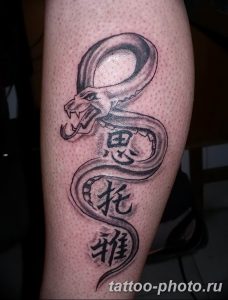 Фото рисунка тату змея 23.11.2018 №252 - snake tattoo photo - tattoo-photo.ru