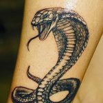 Фото рисунка тату змея 23.11.2018 №255 - snake tattoo photo - tattoo-photo.ru