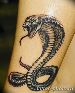 Фото рисунка тату змея 23.11.2018 №255 - snake tattoo photo - tattoo-photo.ru