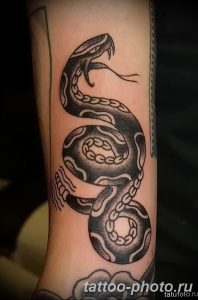 Фото рисунка тату змея 23.11.2018 №256 - snake tattoo photo - tattoo-photo.ru