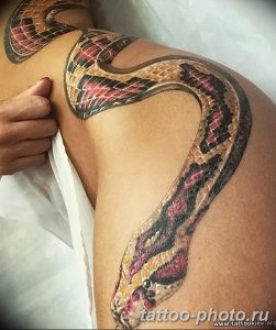 Фото рисунка тату змея 23.11.2018 №257 - snake tattoo photo - tattoo-photo.ru