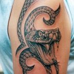 Фото рисунка тату змея 23.11.2018 №258 - snake tattoo photo - tattoo-photo.ru