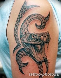 Фото рисунка тату змея 23.11.2018 №258 - snake tattoo photo - tattoo-photo.ru