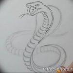Фото рисунка тату змея 23.11.2018 №259 - snake tattoo photo - tattoo-photo.ru