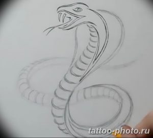 Фото рисунка тату змея 23.11.2018 №259 - snake tattoo photo - tattoo-photo.ru