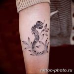 Фото рисунка тату змея 23.11.2018 №262 - snake tattoo photo - tattoo-photo.ru