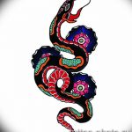 Фото рисунка тату змея 23.11.2018 №264 - snake tattoo photo - tattoo-photo.ru
