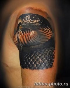 Фото рисунка тату змея 23.11.2018 №267 - snake tattoo photo - tattoo-photo.ru