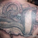 Фото рисунка тату змея 23.11.2018 №268 - snake tattoo photo - tattoo-photo.ru
