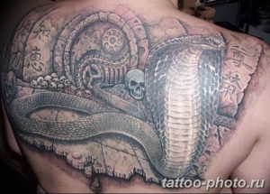 Фото рисунка тату змея 23.11.2018 №268 - snake tattoo photo - tattoo-photo.ru
