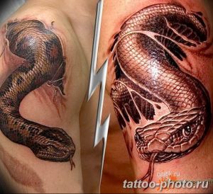 Фото рисунка тату змея 23.11.2018 №270 - snake tattoo photo - tattoo-photo.ru