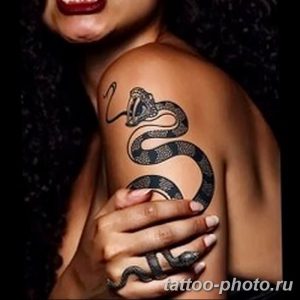 Фото рисунка тату змея 23.11.2018 №272 - snake tattoo photo - tattoo-photo.ru