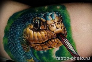 Фото рисунка тату змея 23.11.2018 №276 - snake tattoo photo - tattoo-photo.ru