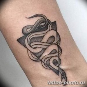 Фото рисунка тату змея 23.11.2018 №278 - snake tattoo photo - tattoo-photo.ru