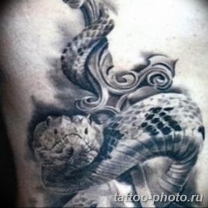 Фото рисунка тату змея 23.11.2018 №285 - snake tattoo photo - tattoo-photo.ru