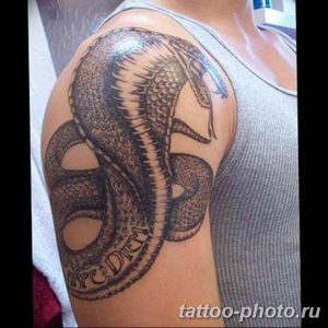 Фото рисунка тату змея 23.11.2018 №286 - snake tattoo photo - tattoo-photo.ru