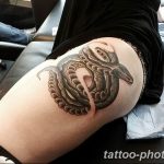 Фото рисунка тату змея 23.11.2018 №287 - snake tattoo photo - tattoo-photo.ru