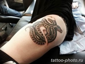 Фото рисунка тату змея 23.11.2018 №287 - snake tattoo photo - tattoo-photo.ru