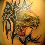 Фото рисунка тату змея 23.11.2018 №288 - snake tattoo photo - tattoo-photo.ru