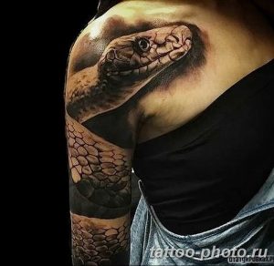 Фото рисунка тату змея 23.11.2018 №293 - snake tattoo photo - tattoo-photo.ru