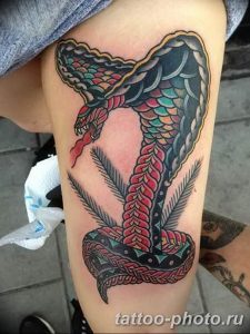 Фото рисунка тату змея 23.11.2018 №295 - snake tattoo photo - tattoo-photo.ru