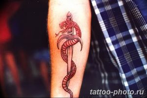 Фото рисунка тату змея 23.11.2018 №296 - snake tattoo photo - tattoo-photo.ru