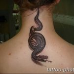 Фото рисунка тату змея 23.11.2018 №297 - snake tattoo photo - tattoo-photo.ru