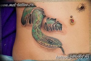 Фото рисунка тату змея 23.11.2018 №298 - snake tattoo photo - tattoo-photo.ru