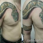 Фото рисунка тату змея 23.11.2018 №301 - snake tattoo photo - tattoo-photo.ru