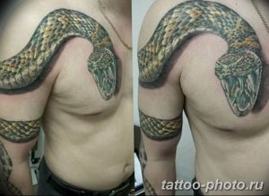 Фото рисунка тату змея 23.11.2018 №301 - snake tattoo photo - tattoo-photo.ru