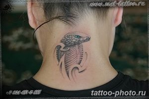 Фото рисунка тату змея 23.11.2018 №304 - snake tattoo photo - tattoo-photo.ru