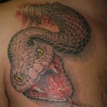 Фото рисунка тату змея 23.11.2018 №309 - snake tattoo photo - tattoo-photo.ru