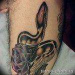 Фото рисунка тату змея 23.11.2018 №310 - snake tattoo photo - tattoo-photo.ru