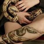 Фото рисунка тату змея 23.11.2018 №311 - snake tattoo photo - tattoo-photo.ru