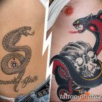 Фото рисунка тату змея 23.11.2018 №312 - snake tattoo photo - tattoo-photo.ru