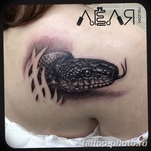 Фото рисунка тату змея 23.11.2018 №316 - snake tattoo photo - tattoo-photo.ru