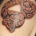 Фото рисунка тату змея 23.11.2018 №317 - snake tattoo photo - tattoo-photo.ru